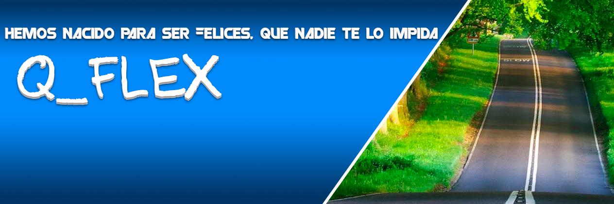 Q_FLEX's profile banner image