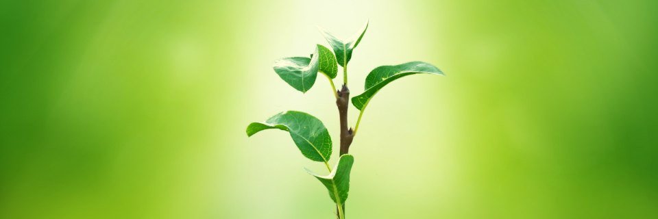 jaubertjamie's profile banner image