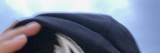 nann banner