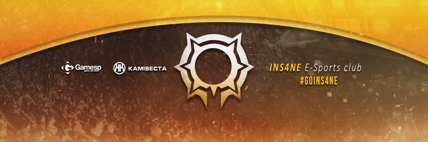 INS4NE eSports™ banner