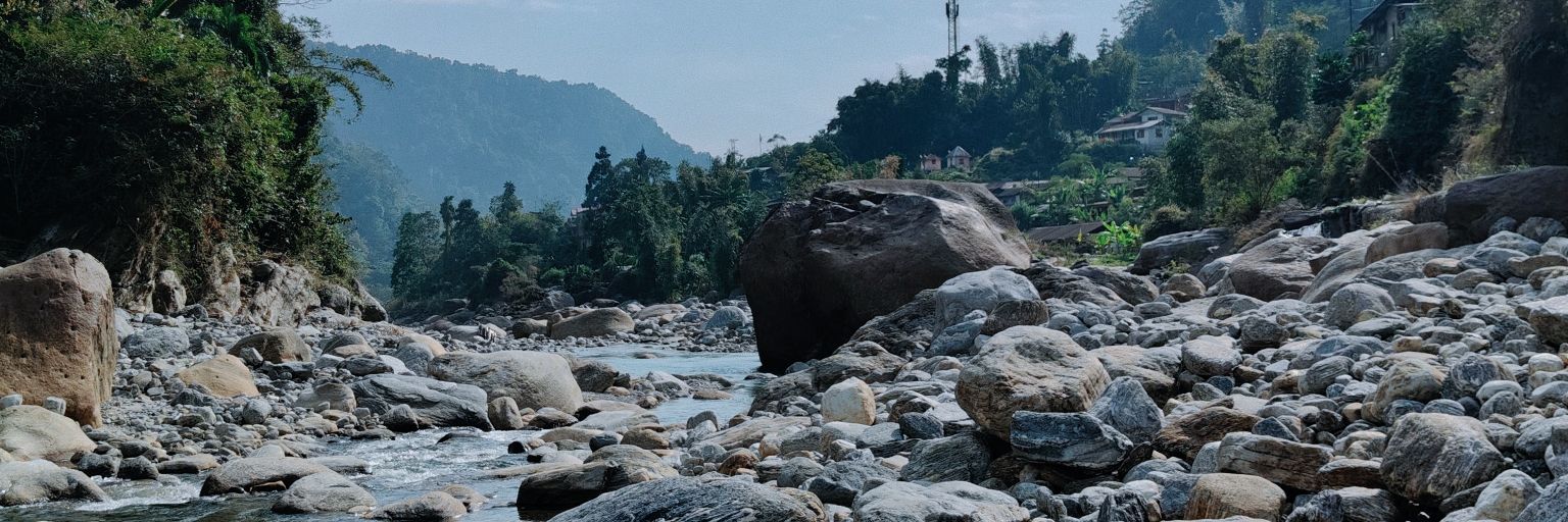 Sujata Basu banner