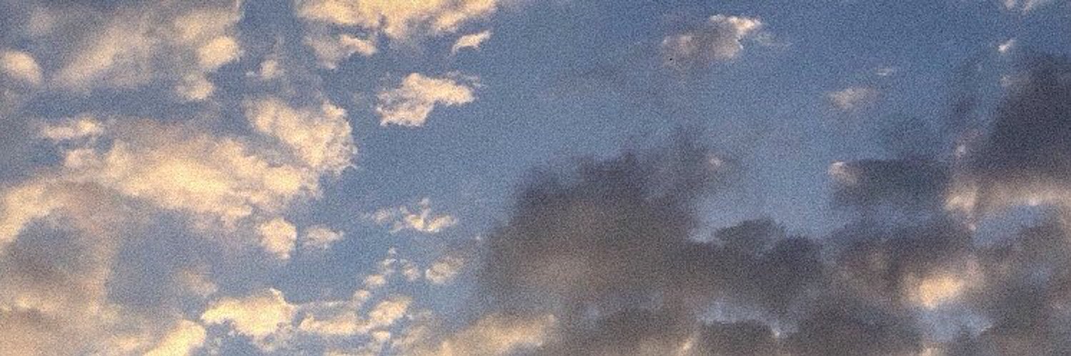 _bnemen's profile banner image