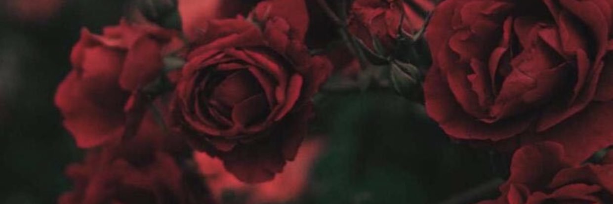 Be_eDo_o25's profile banner image