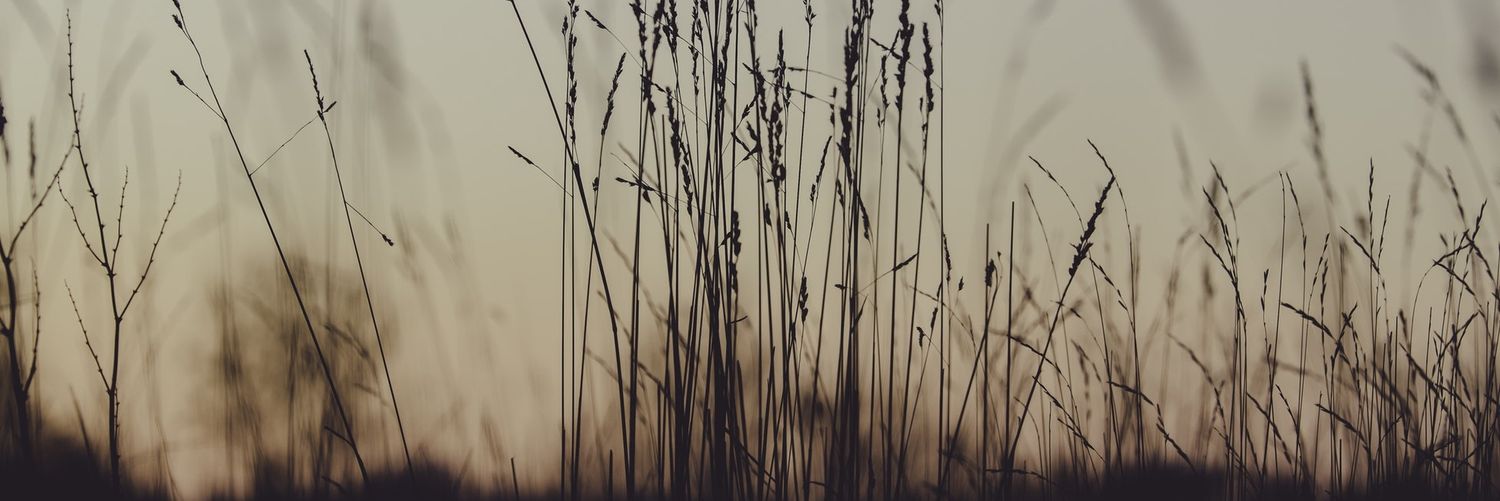 KatkoPacman's profile banner image