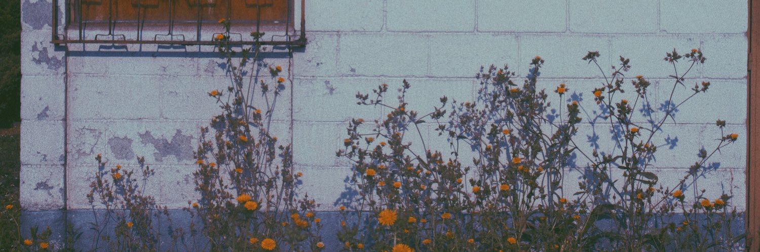 ___pikiss's profile banner image