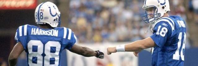 Realistic Colts Fan banner