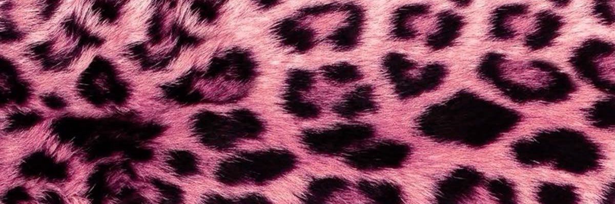 ⋆˙⟡♡ Jana ♡⟡˙ ⋆ banner