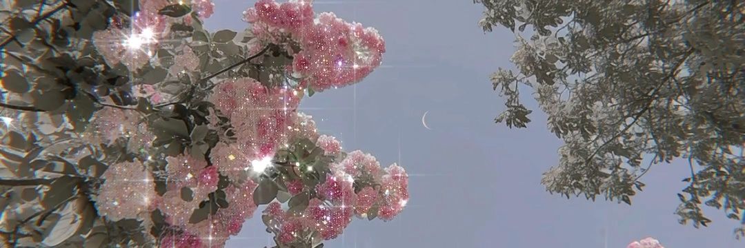 petiteelynn's profile banner image
