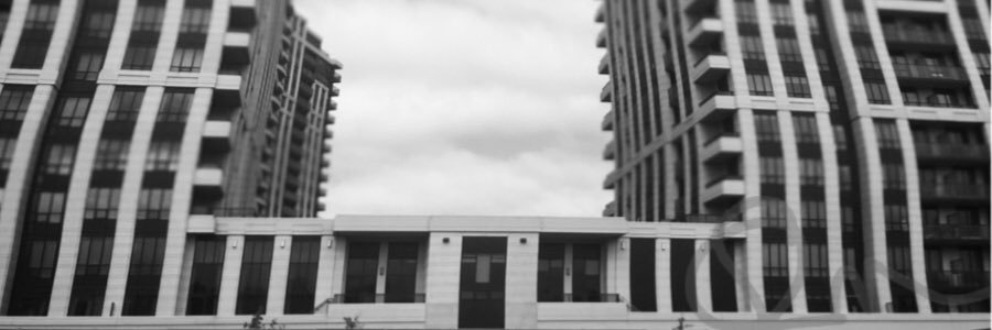 SuzyLamont's profile banner image