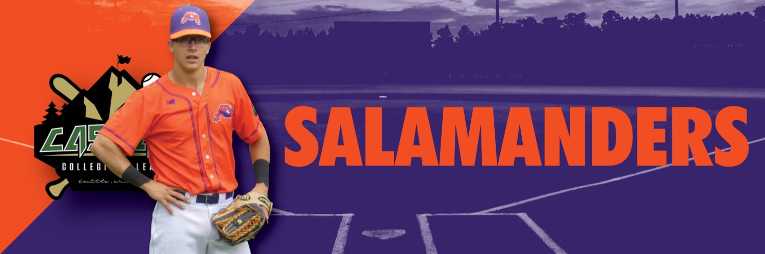 Salamanders Baseball banner