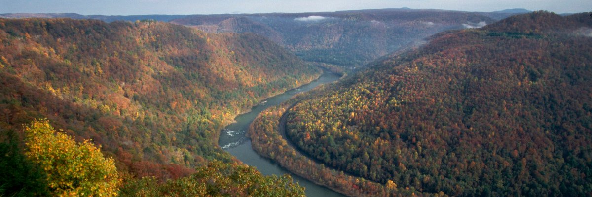 Safety Squeeze It banner