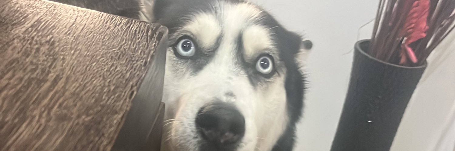 Spacheco212's profile banner image