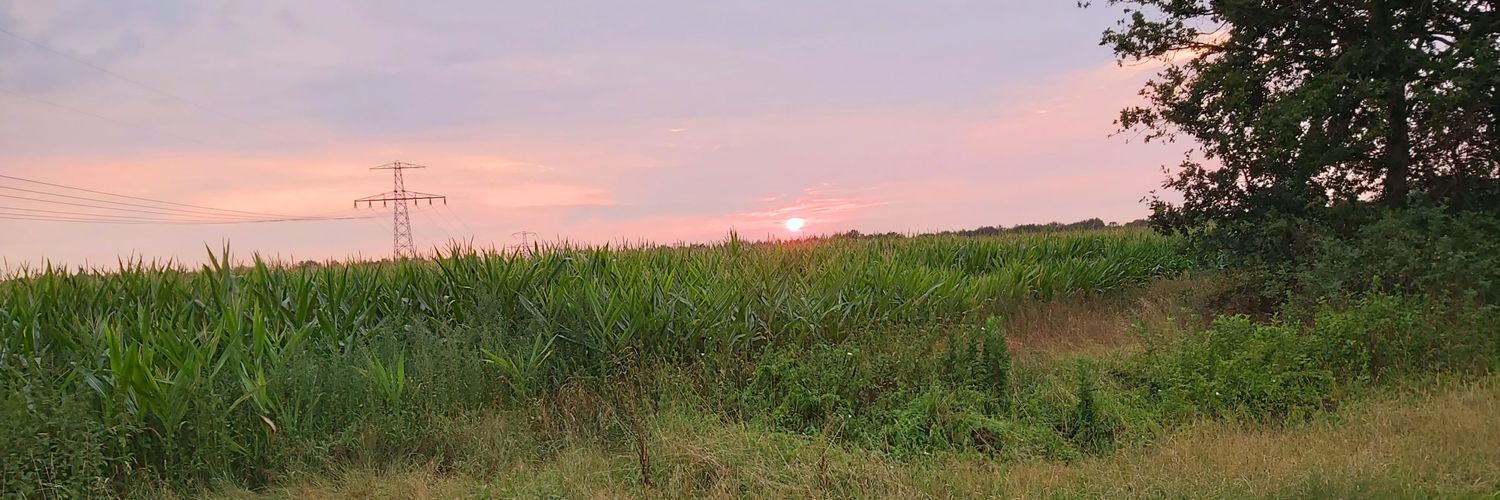 pkdwars's profile banner image