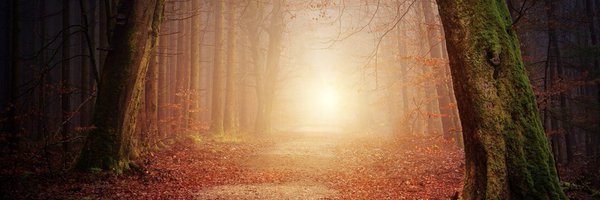 DG_400h Profile Banner