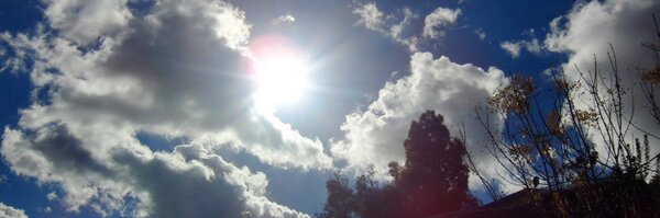 PeterJHarris1 Profile Banner