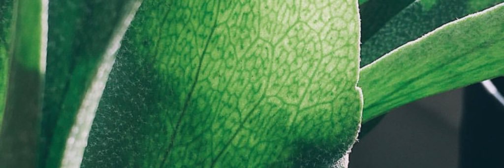 Alex_Wents's profile banner image