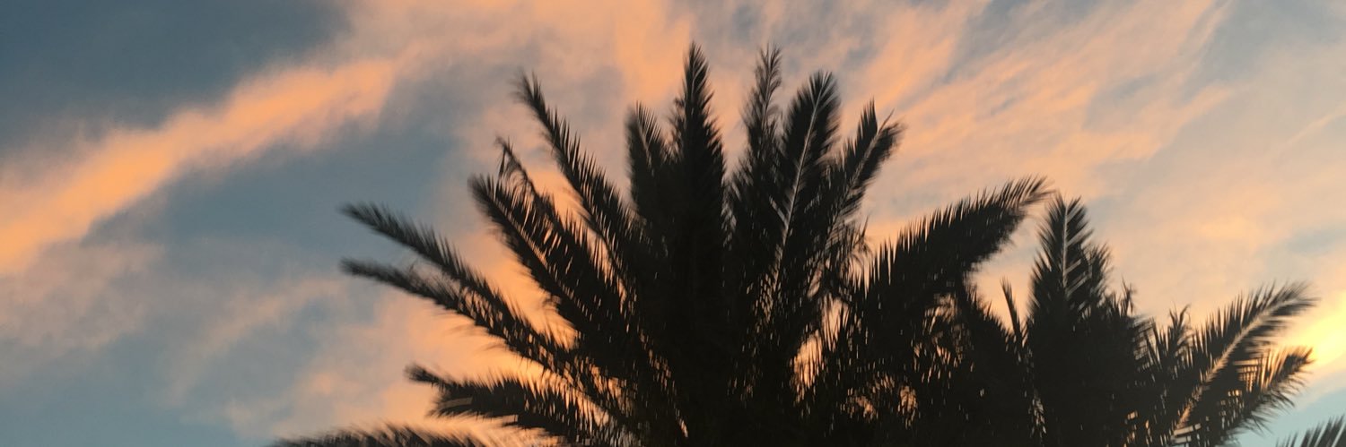 CasiBriggs's profile banner image