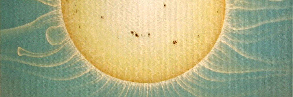 phytotarr's profile banner image