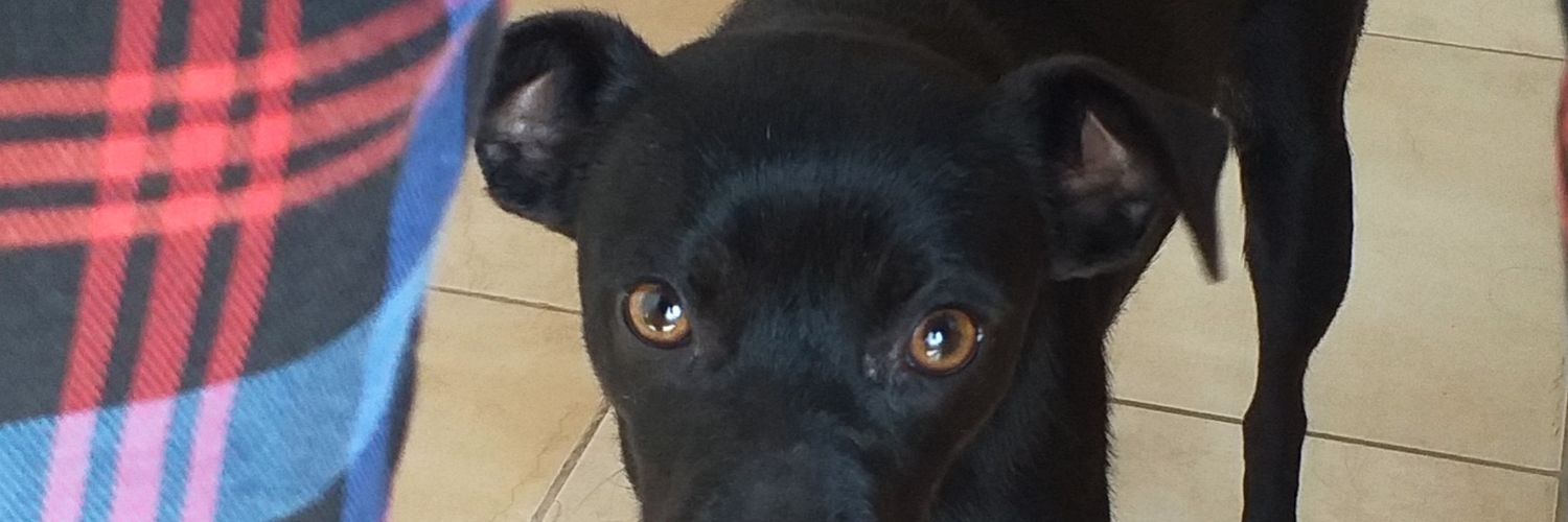 SotoMilee's profile banner image