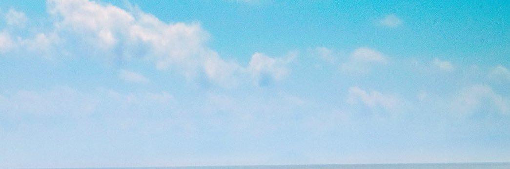 こたに banner