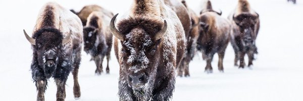 smartthinksix Profile Banner