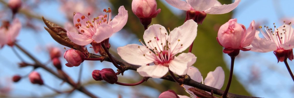 cgdeminel's profile banner image