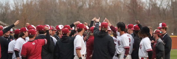 HSC Baseball Profile Banner