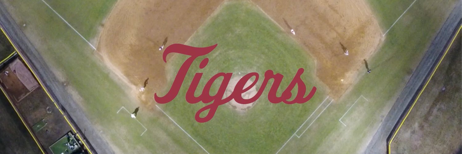 Hampden-Sydney Baseball's banner