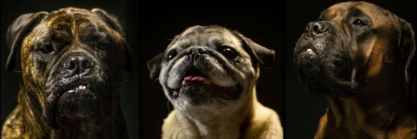 SeamonkeyzRule Profile Banner