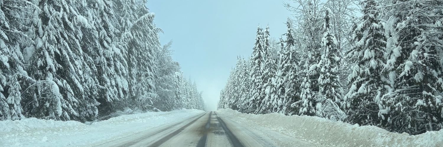 Dang it Bobby banner