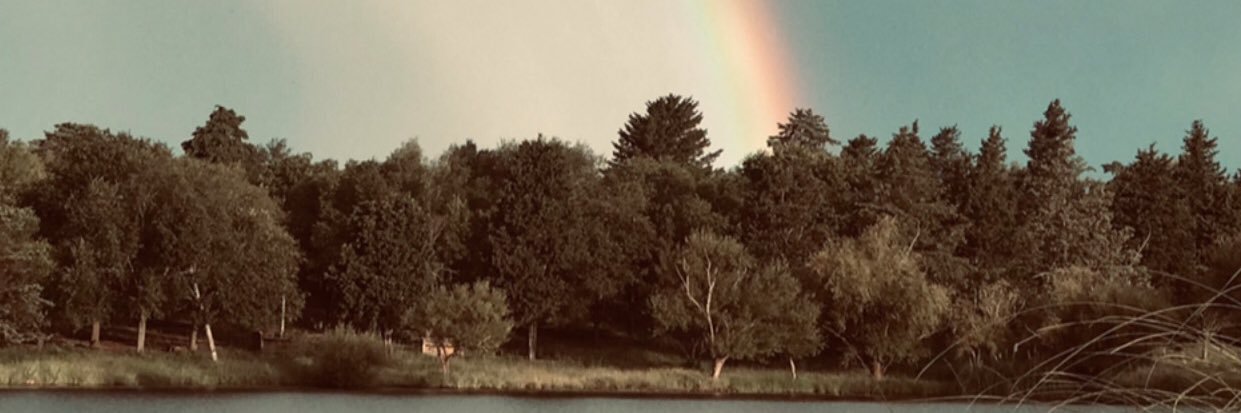 JaneRodriiguez's profile banner image