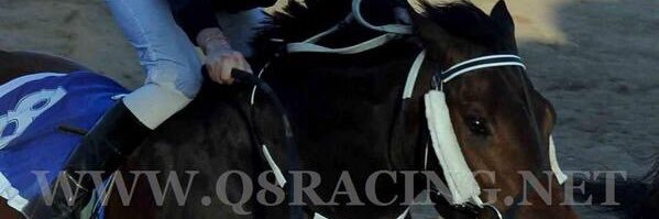 mkbat12's profile banner image