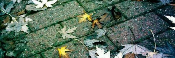 robotwisdom Profile Banner