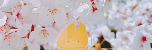 4_hayama Profile Banner