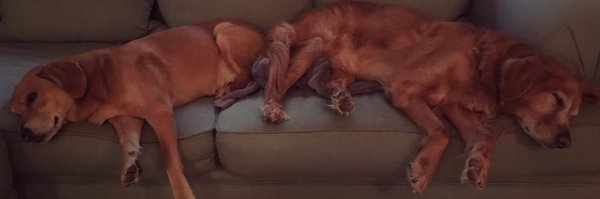 KrisKling Profile Banner