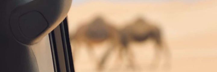 t3p26's profile banner image