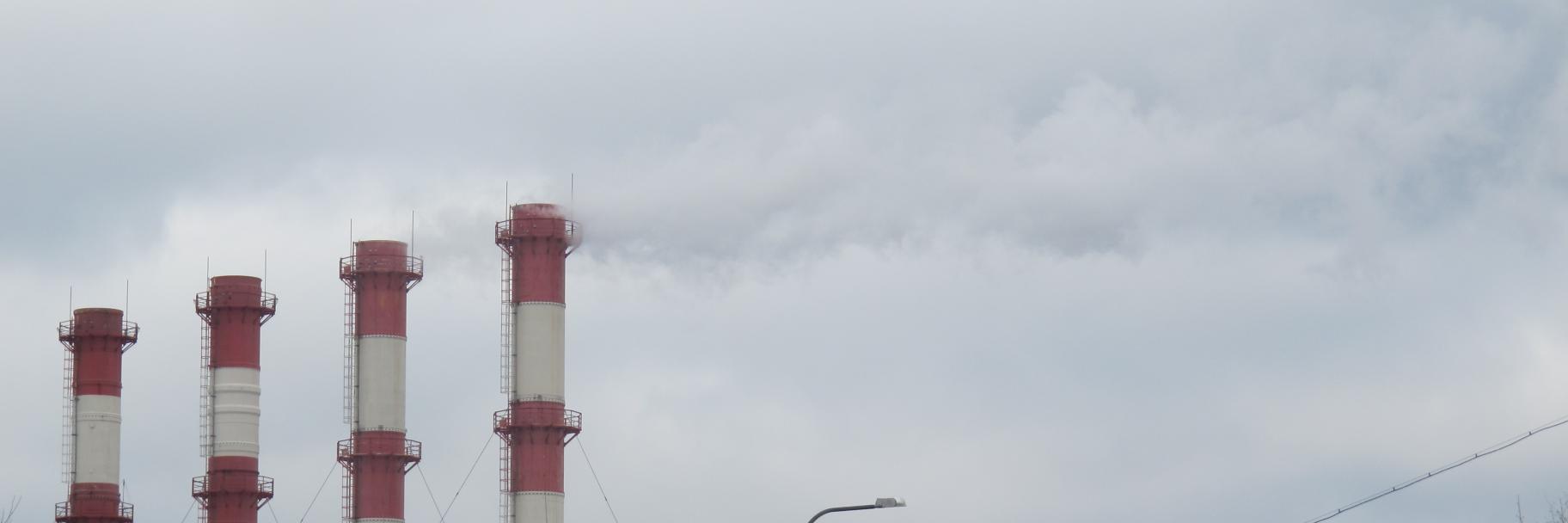 raaznak🤍💙🤍 banner