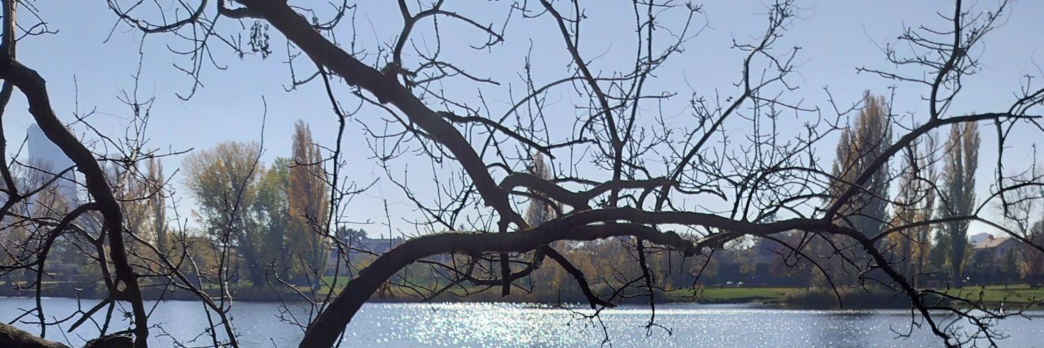 Harri Yli-Harju banner