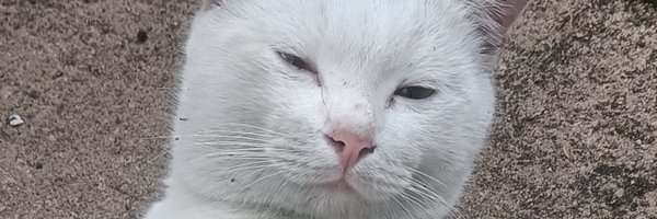 Fr72fVDWvQGhdyr Profile Banner
