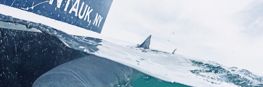 legend218's profile banner image