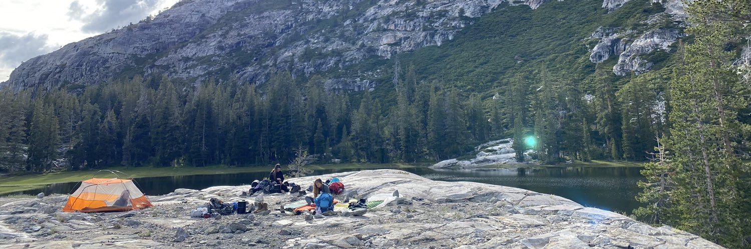 Amanda Telfer banner