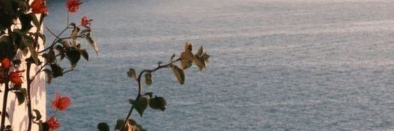 Darks__2's profile banner image