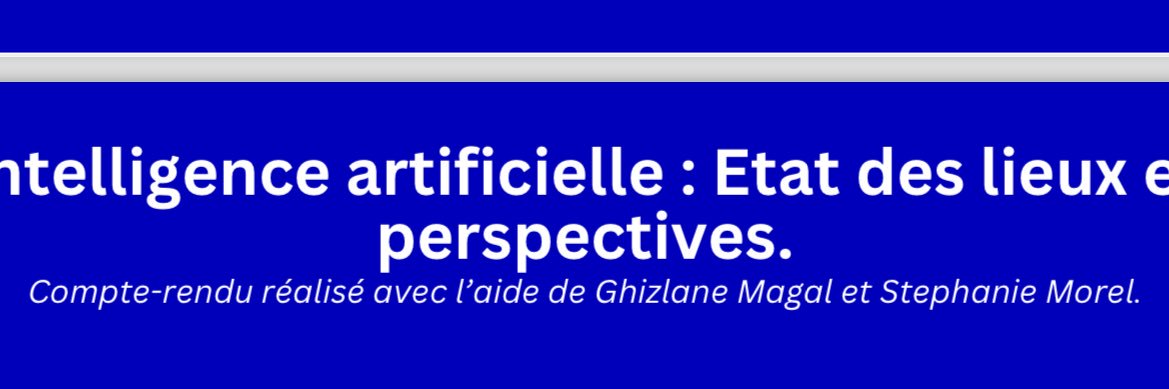 Stephanie Morel banner