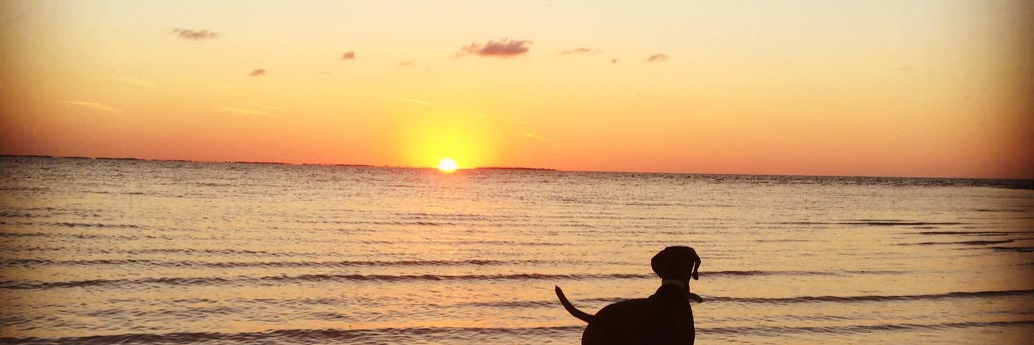CGarciniM's profile banner image
