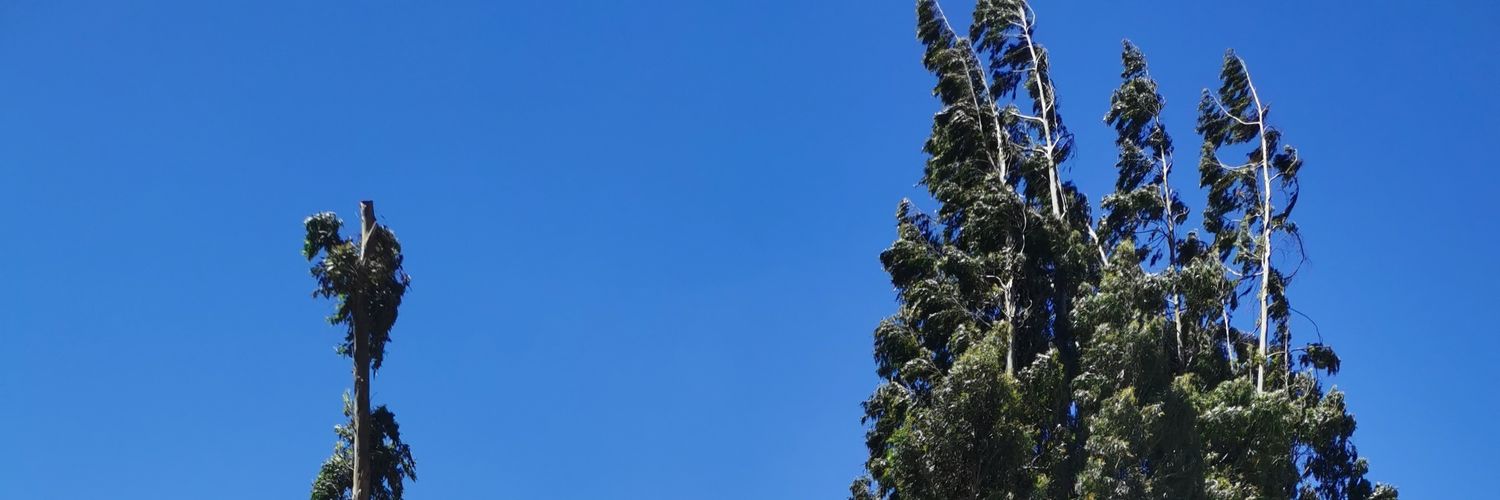 Malcums's profile banner image