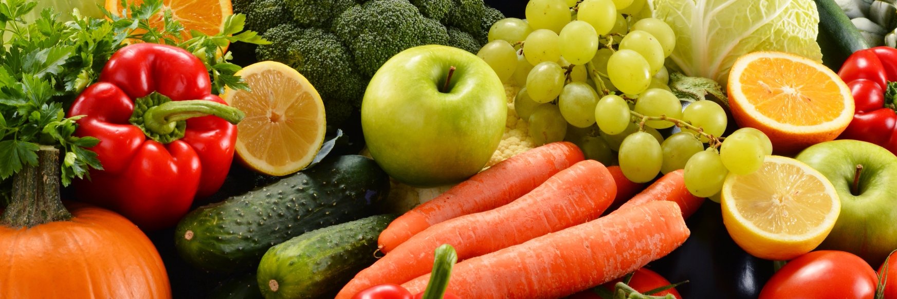 UMD Sports Nutrition banner