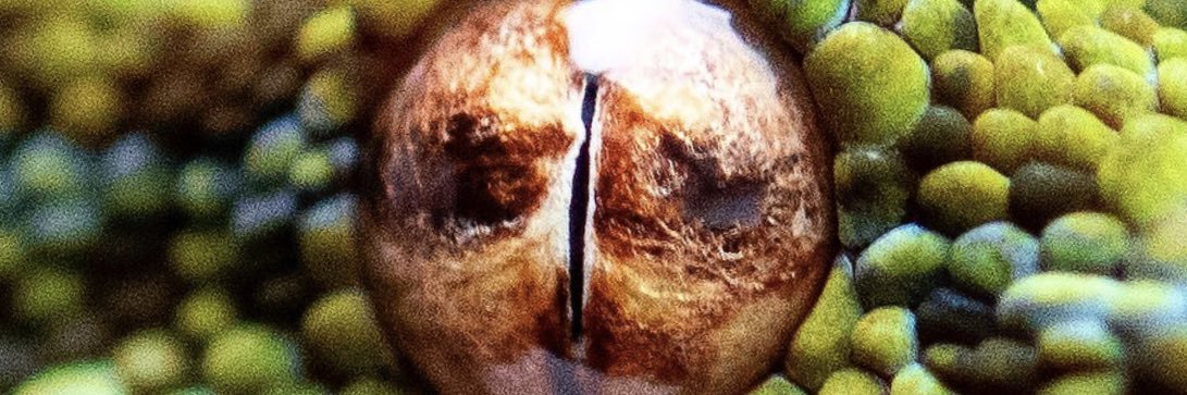 porterako1's profile banner image