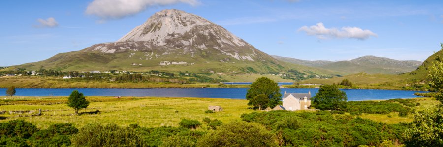 Ann Gallagher banner