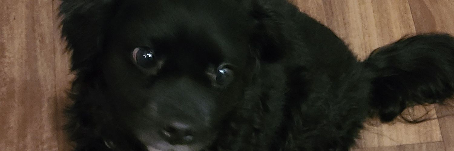 layners40's profile banner image