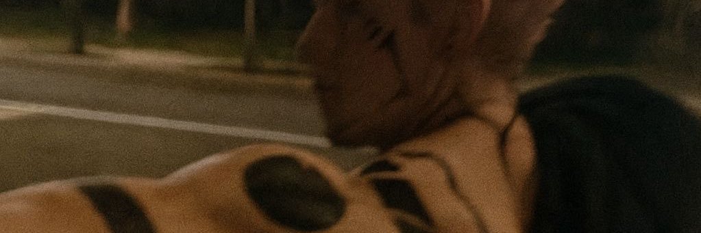 🪅 banner